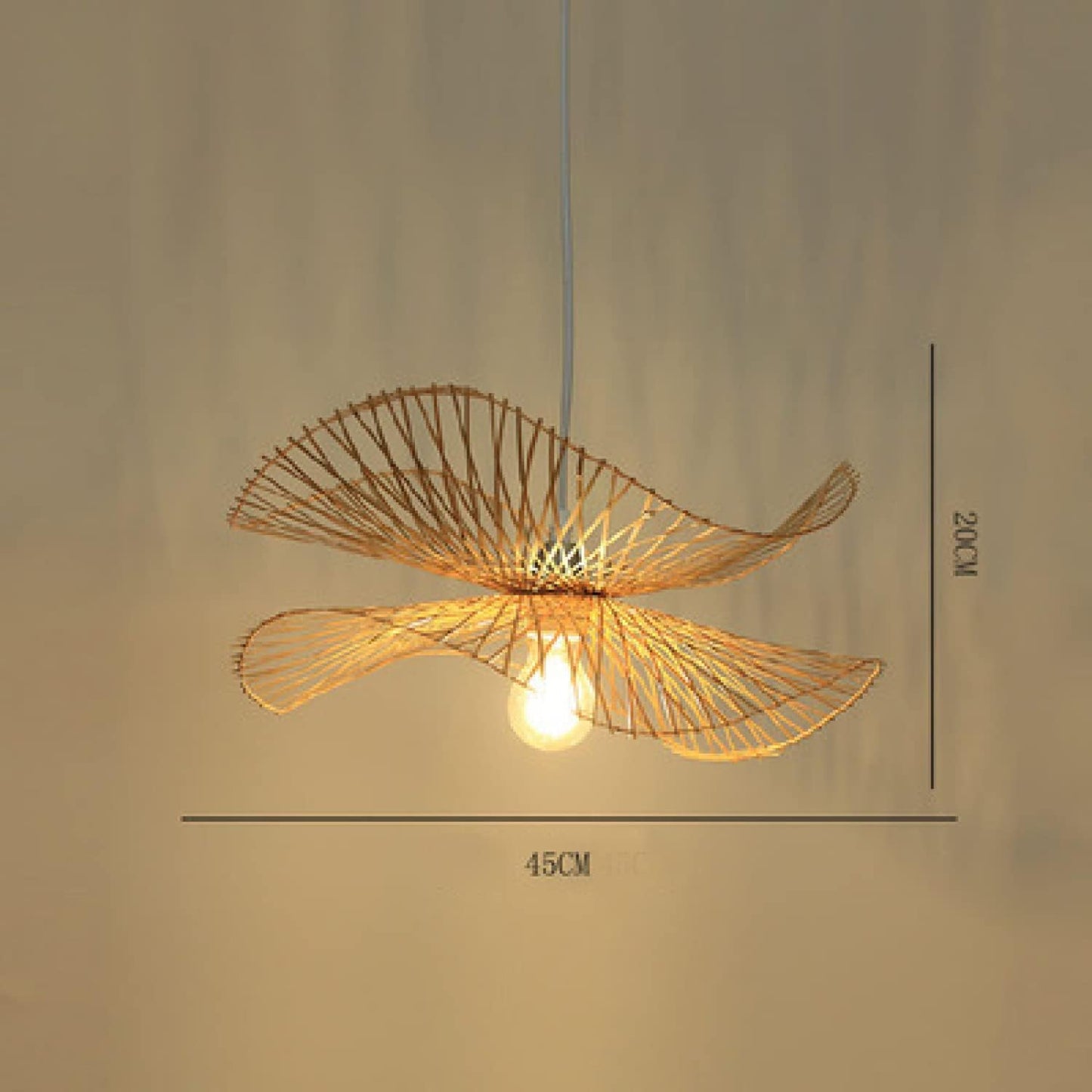Suspension BIRDY