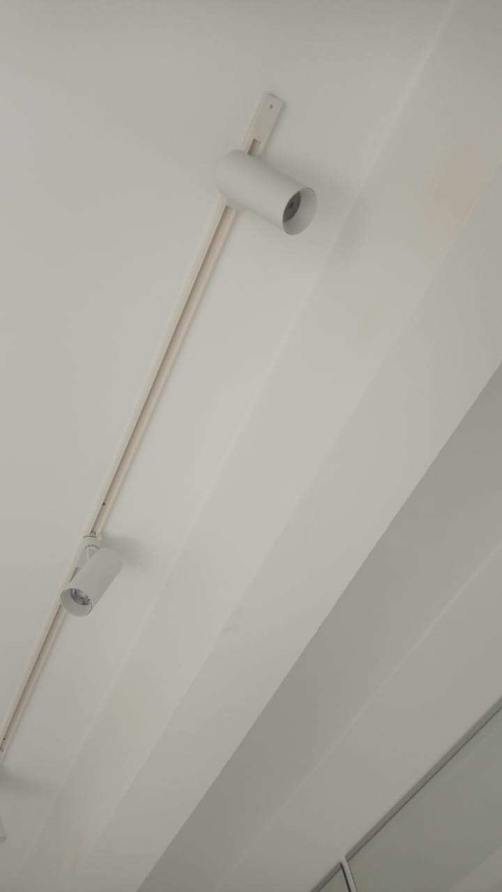 Projecteur 30W Rail monophasé
